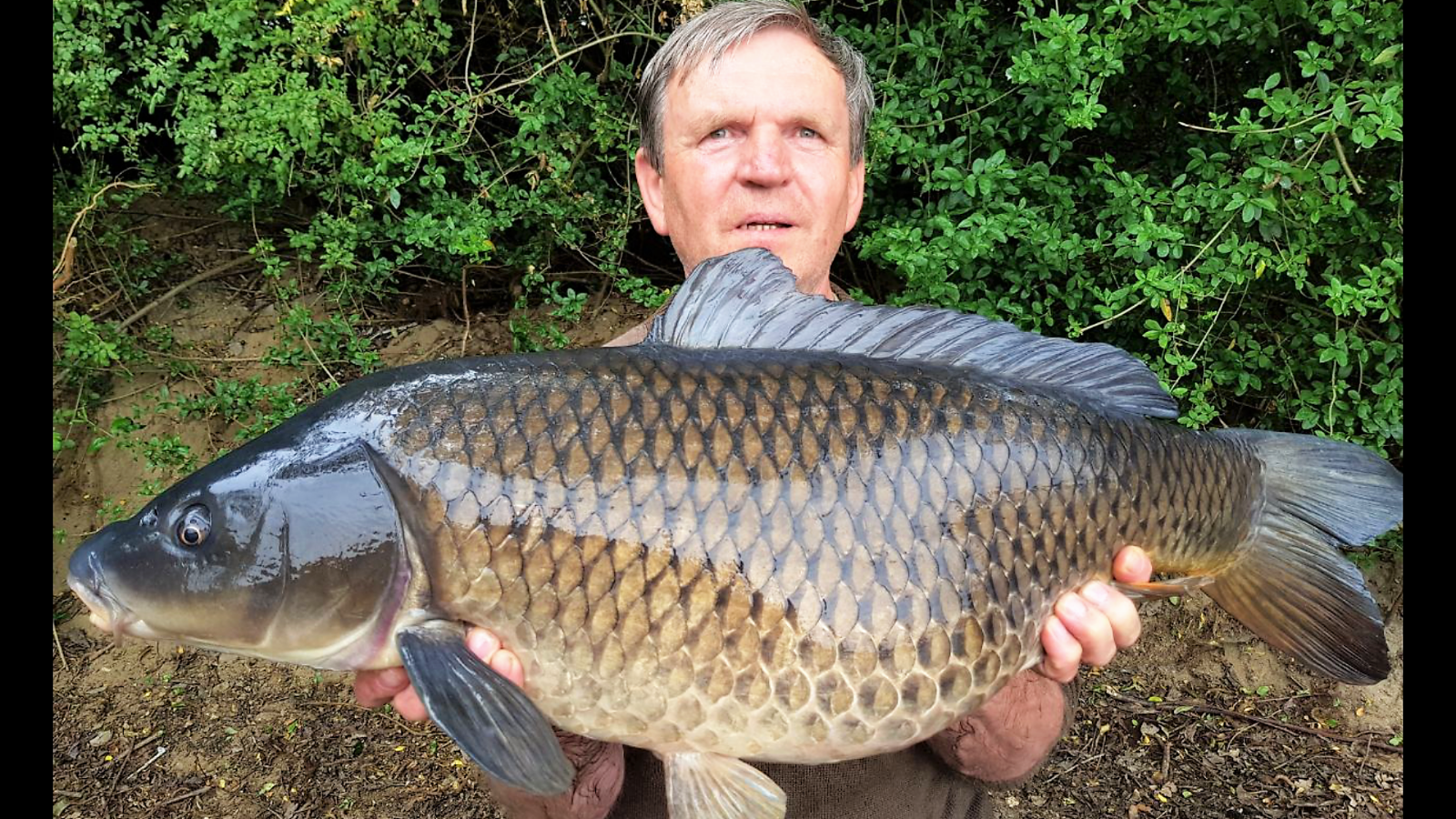 Screenshot 2017 05 21 16 38 33