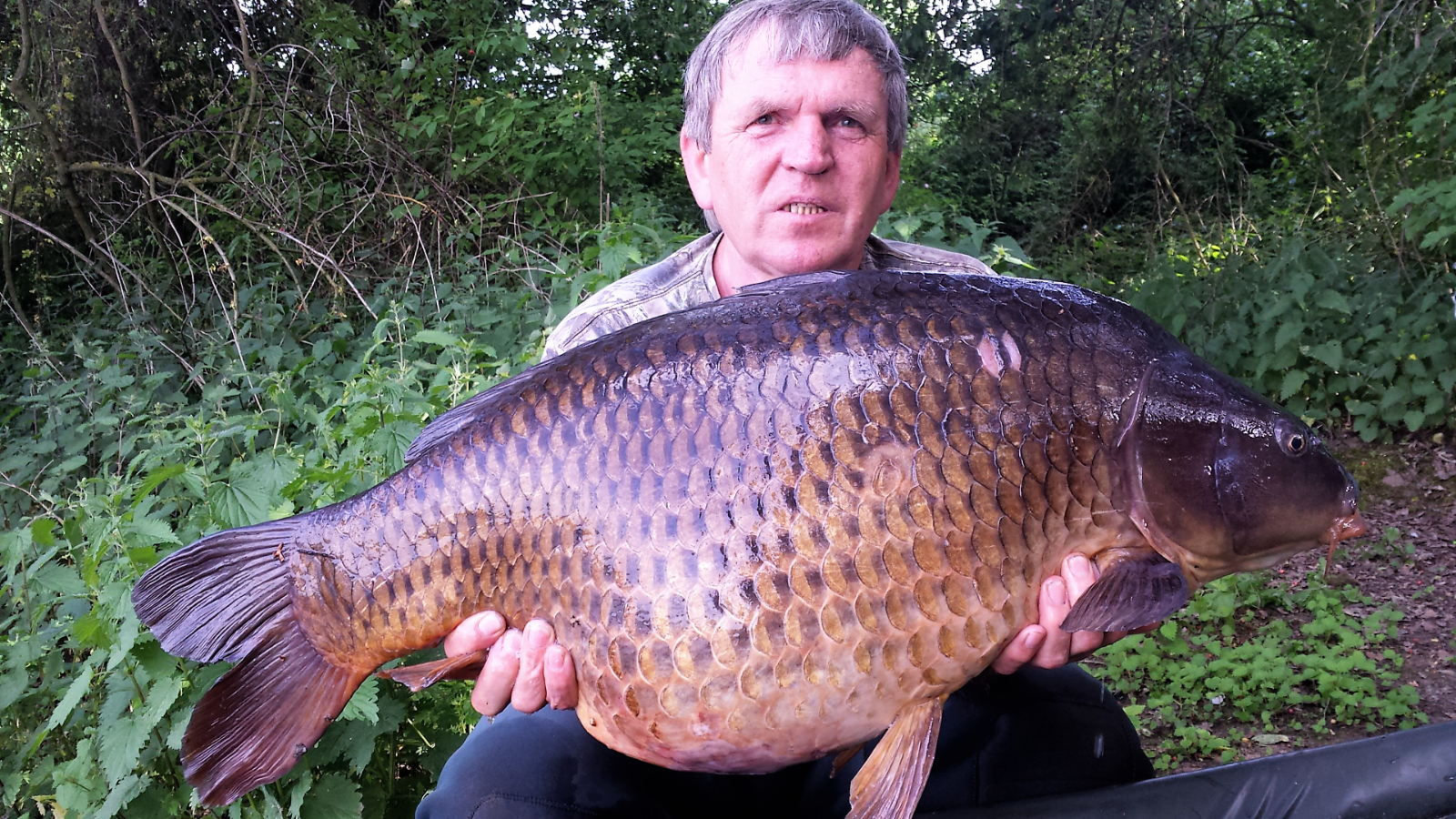 Screenshot 2017 05 24 06 46 23