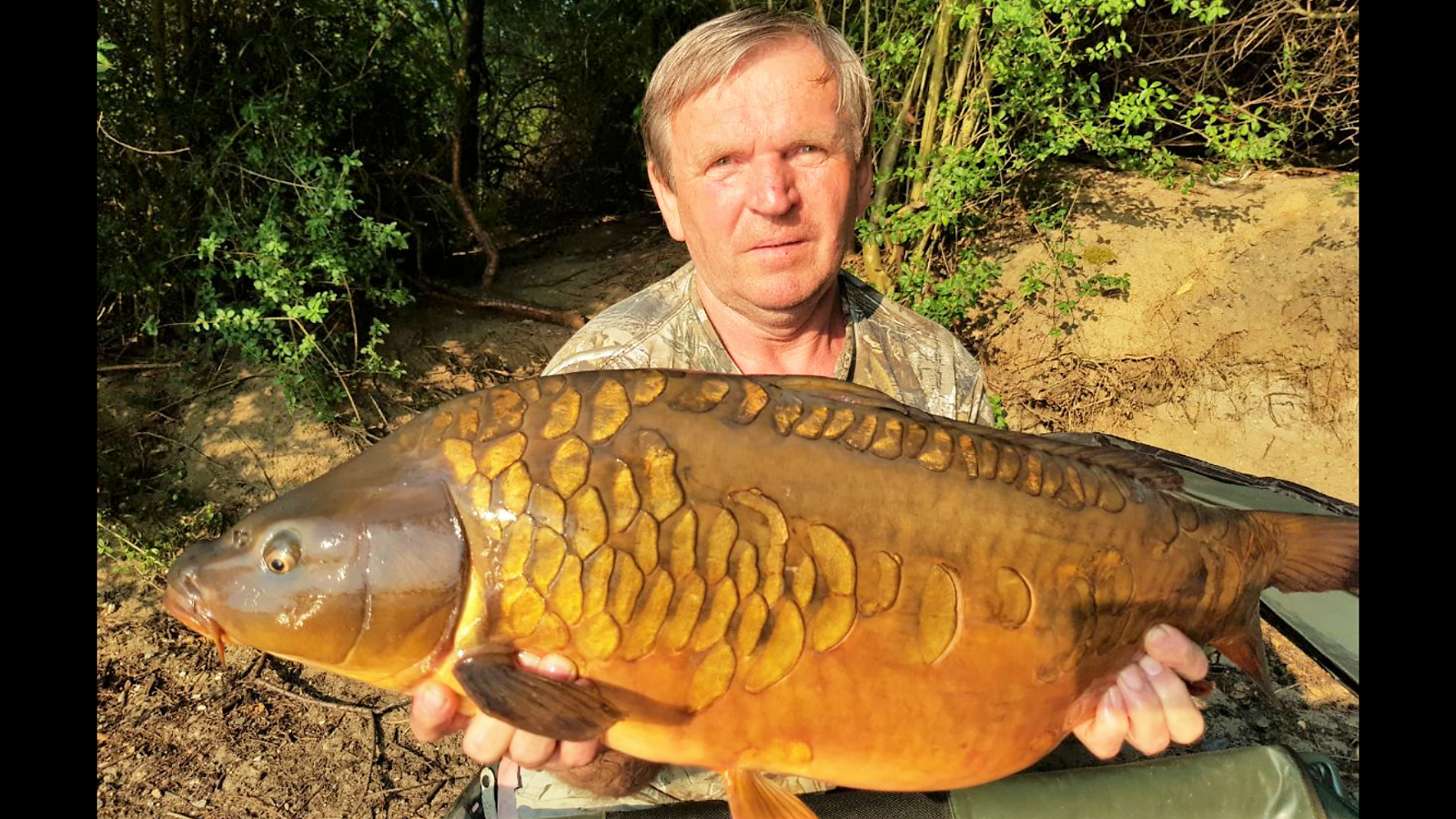 Screenshot 2017 07 05 20 52 42