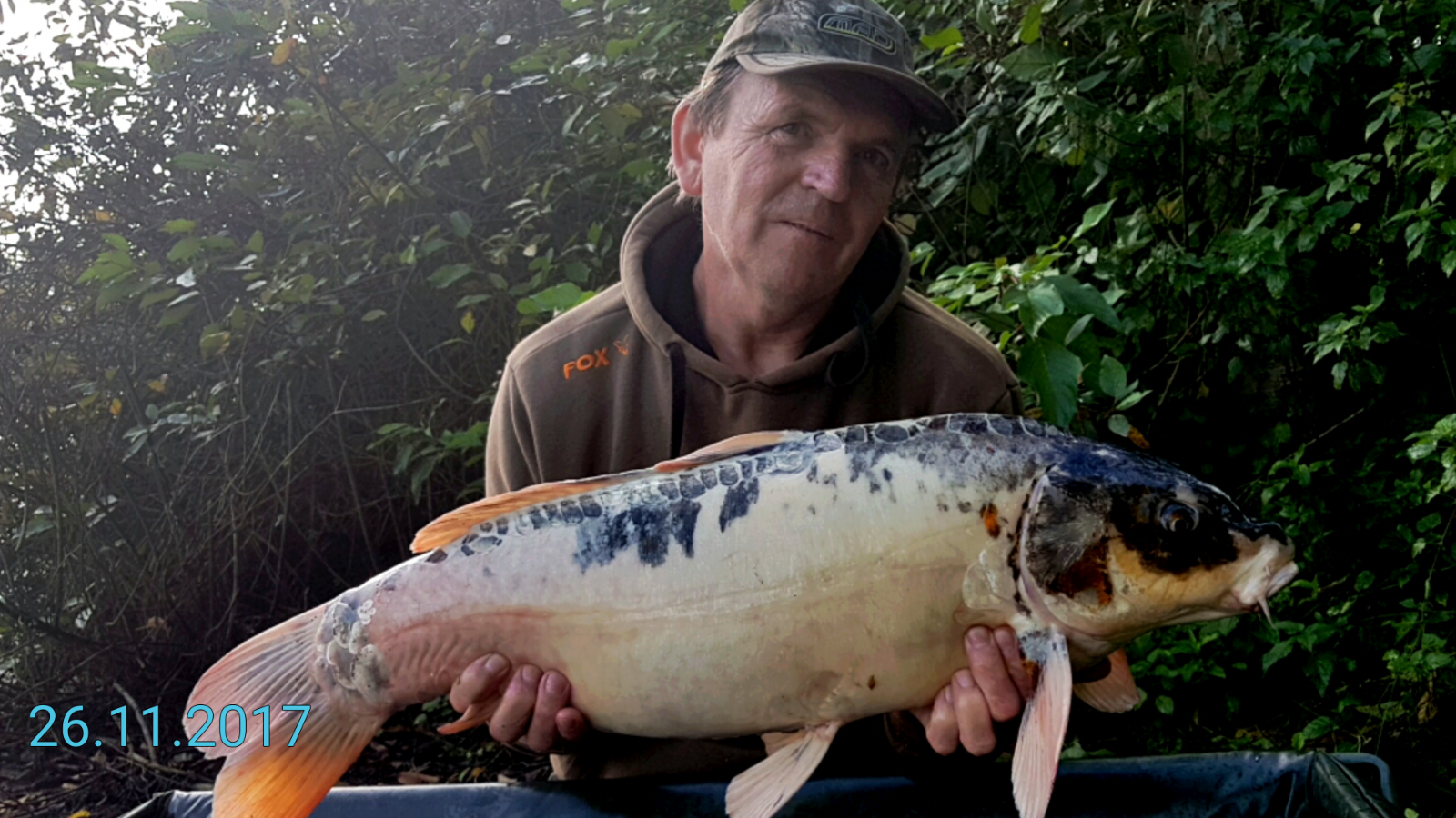 Screenshot 2017 11 26 19 20 08